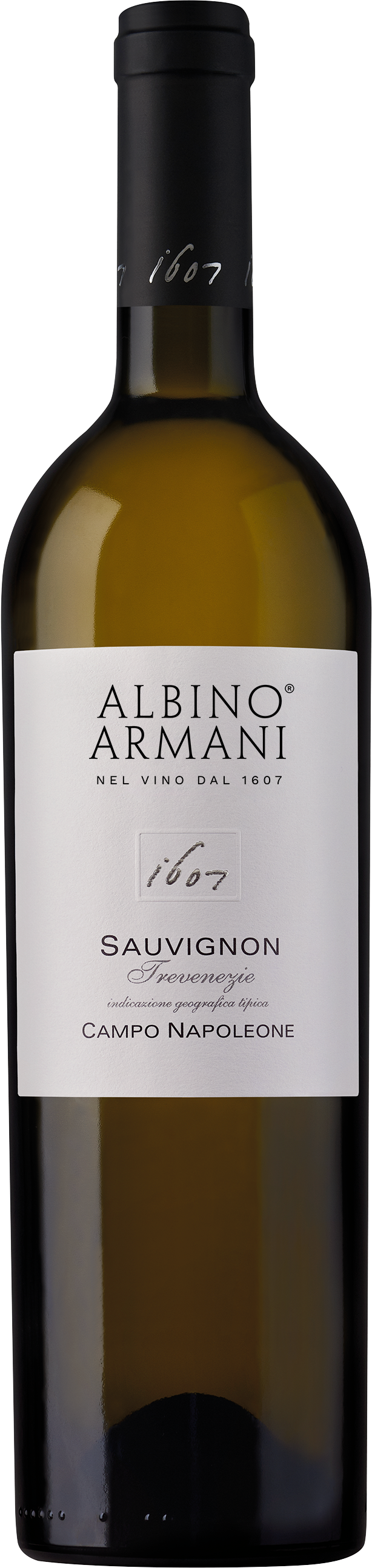 Sauvignon Campo Napoleone Albino Armani IGT 2023