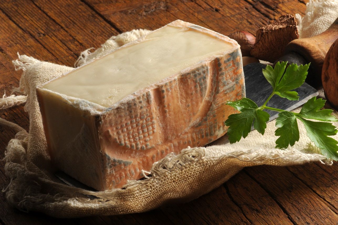 Taleggio DOP "Il Caravaggio" 