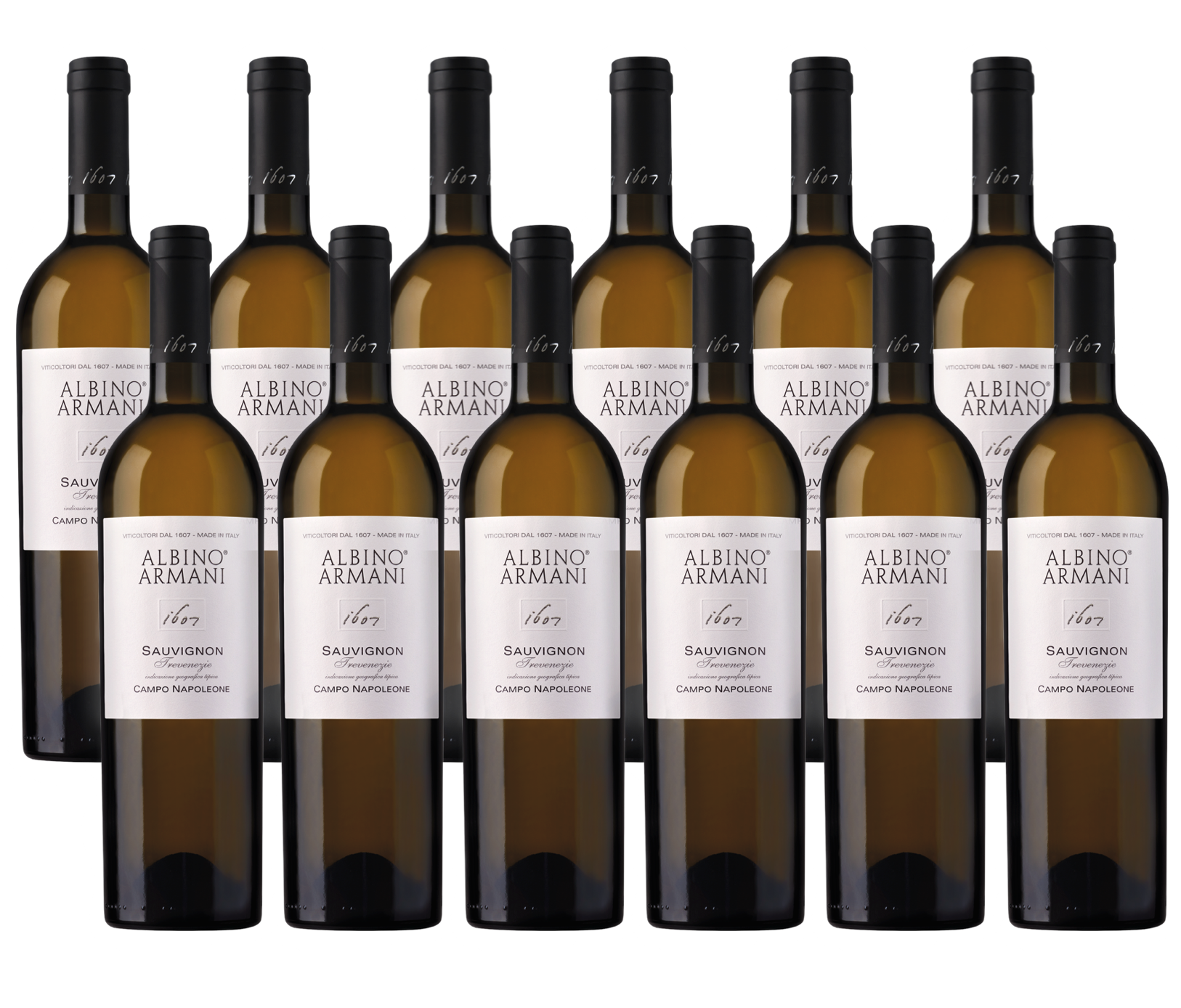 Sparpaket zur Spargelsaison 12X0,75 l Sauvignon Campo Napoleone IGT Albino Armani 2023