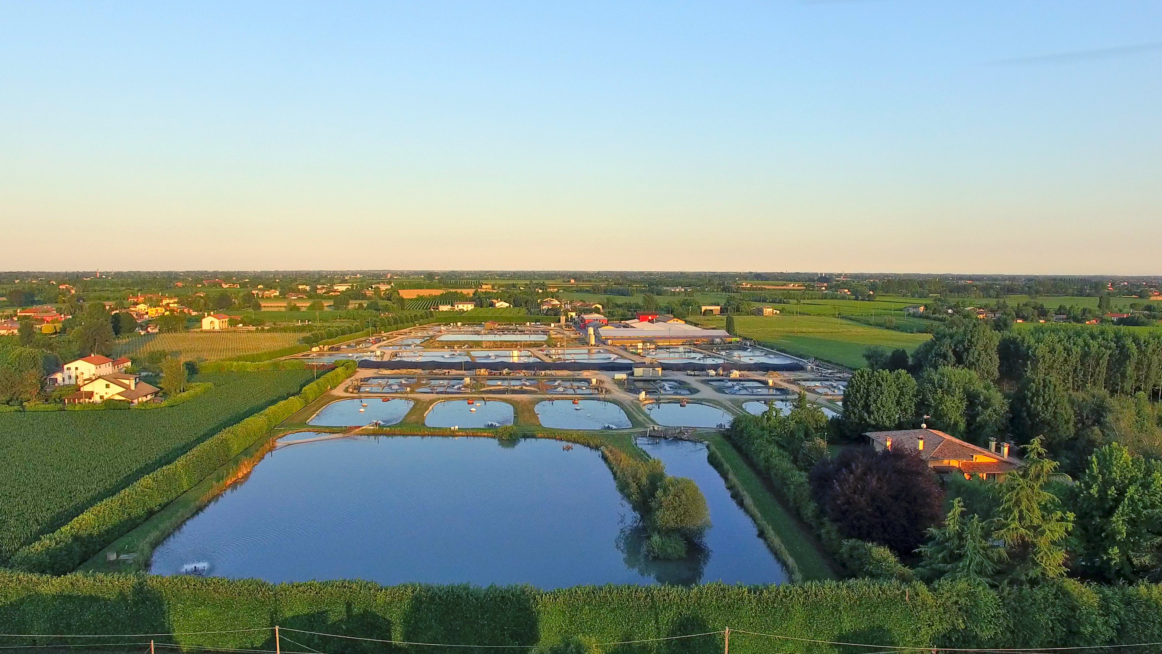 Caviar Beluga Siberian Kaviar Superior