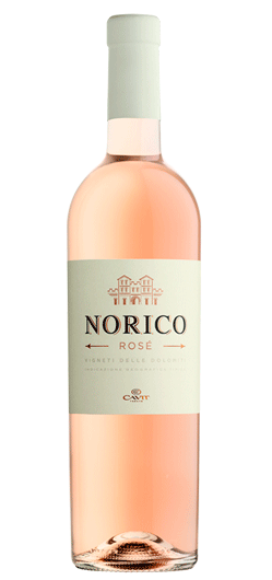 Norico Rosé – Vigneti delle Dolomiti IGT 2024