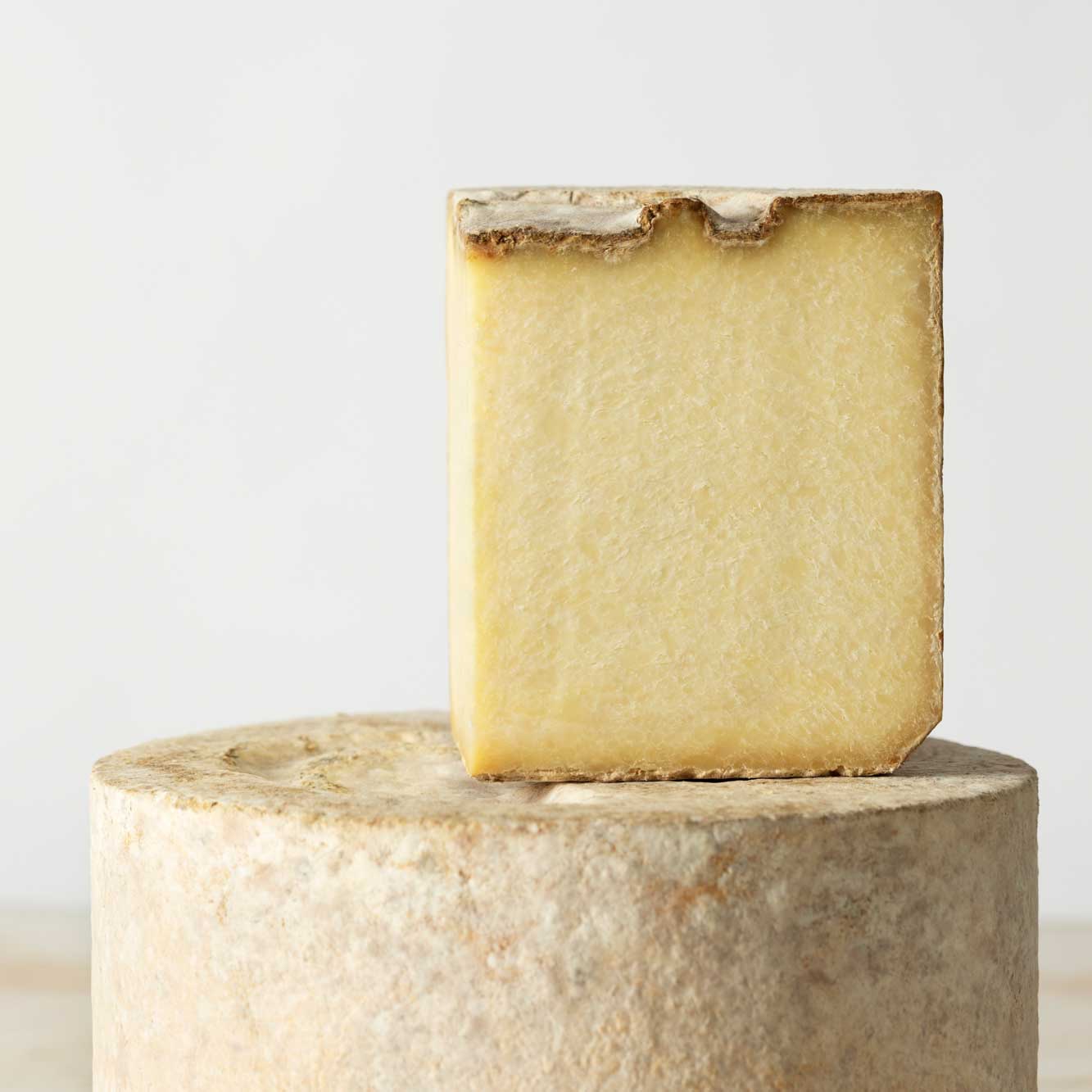 Castelmagno D.O.P. di Montagna Berg-Höhlenkäse aus Piemont