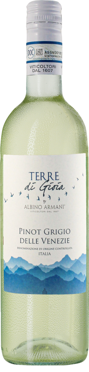 Pinot Grigio delle Venezie DOC 2023