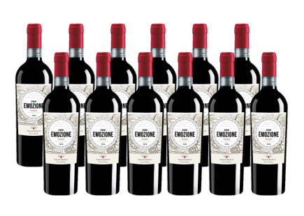 Sonderangebot 12x0,75l Grande Emozione Rosso IGT