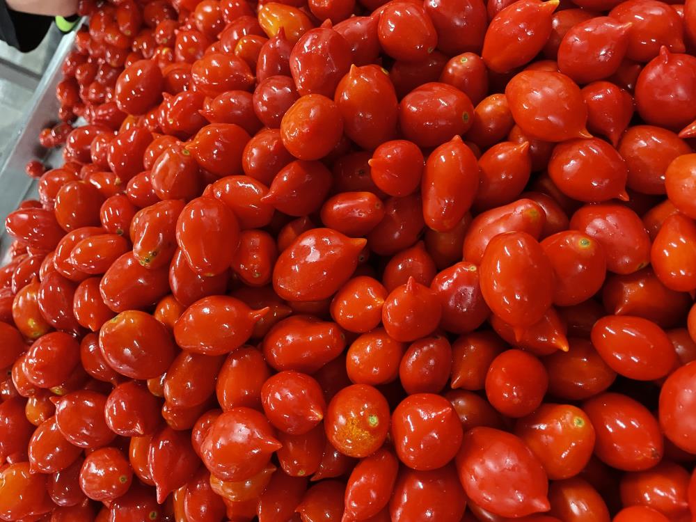 Passierte Tomaten – Piennolo DOP