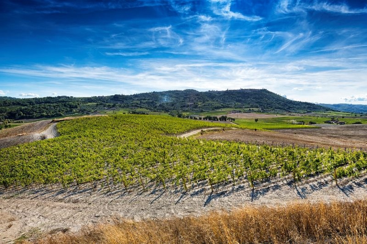 Chianti D.O.C.G 2022 Martoccia di Brunelli