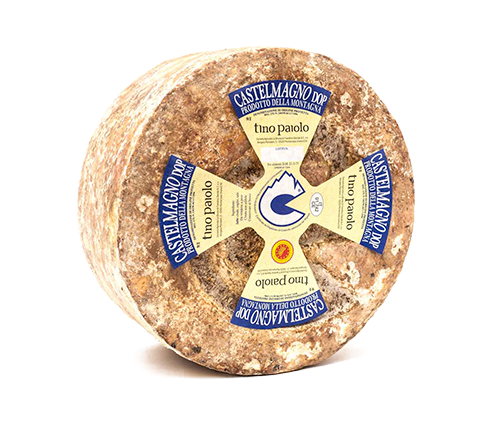 Castelmagno D.O.P. di Montagna Berg-Höhlenkäse aus Piemont