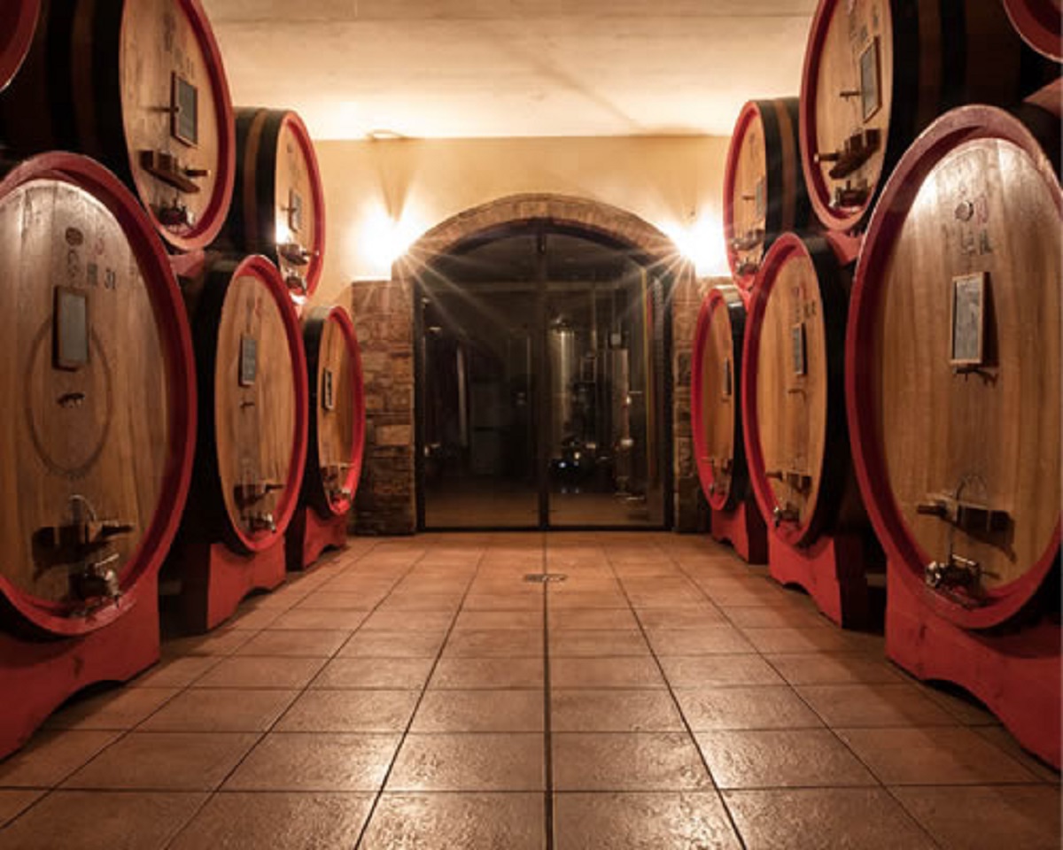 Rosso di Montalcino D.O.C. 2022 Martoccia