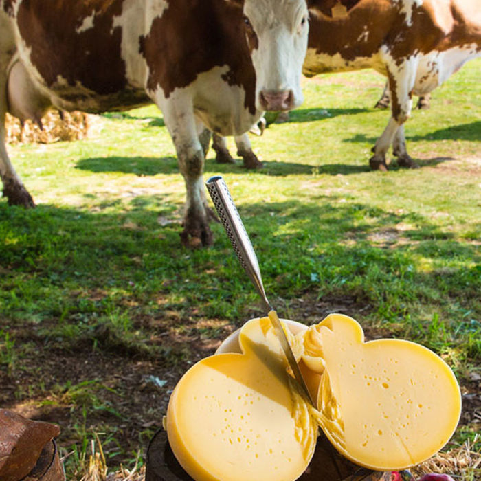 Caciocavallo Silano DOP - Rohmilchkäse aus Apulien