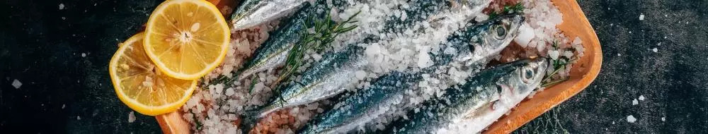 Sardellenfilets gerollt mit Kapern in Olivenöl Extra Vergine