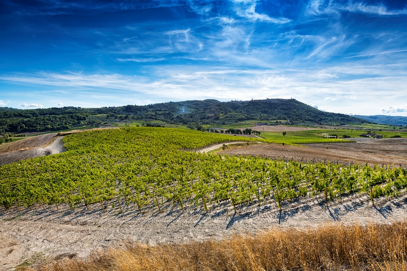 IGT Toscana Sangiovese 2024 Martoccia